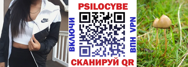 Псилоцибиновые грибы мухоморы  закладка  MEGA онион  Весьегонск 
